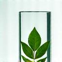 Sello de Garantía de Sostenibilidad TundraVix